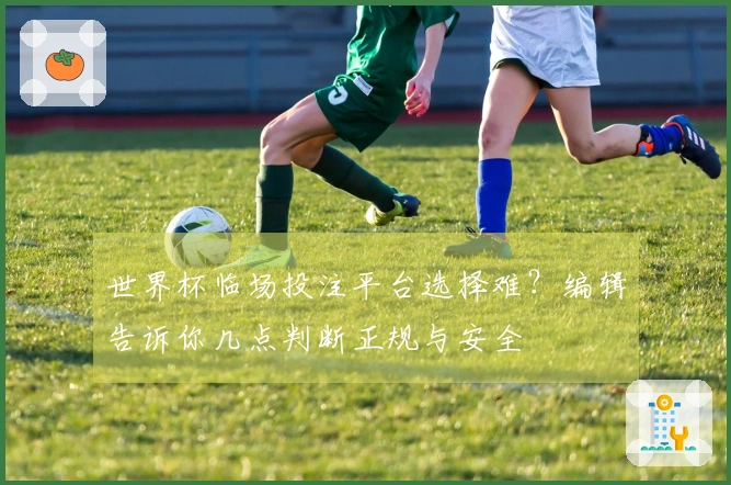 世界杯临场投注平台选择难？编辑告诉你几点判断正规与安全