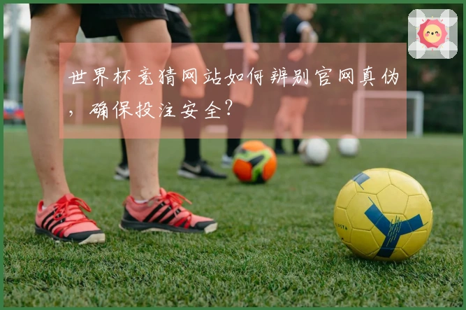 世界杯竞猜网站如何辨别官网真伪，确保投注安全？