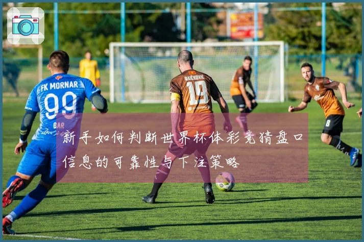 新手如何判断世界杯体彩竞猜盘口信息的可靠性与下注策略
