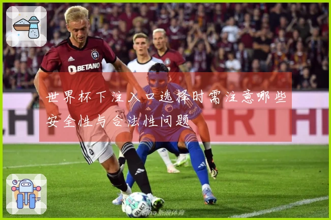 世界杯下注入口选择时需注意哪些安全性与合法性问题