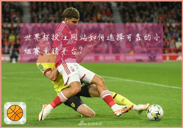 世界杯投注网站如何选择可靠的小组赛竞猜平台？