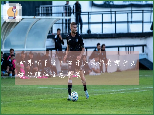 世界杯下注入口开户流程有哪些关键步骤和注意事项？