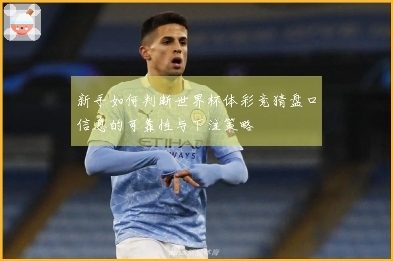 新手如何判断世界杯体彩竞猜盘口信息的可靠性与下注策略